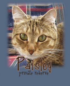 Paisley Private Reserve