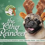 The Other Reindeer The Other Reindeer